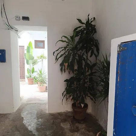 Estudio Centro Con Jardin Compartido Tarifa
