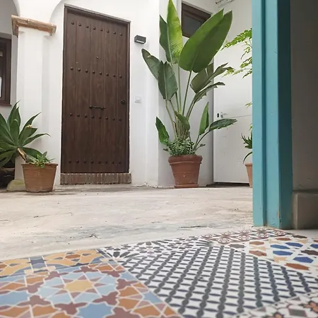 Estudio Centro Con Jardin Compartido